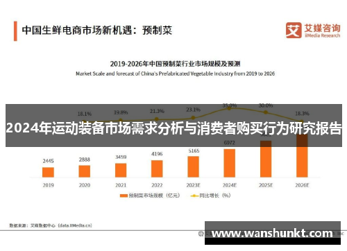 2024年运动装备市场需求分析与消费者购买行为研究报告